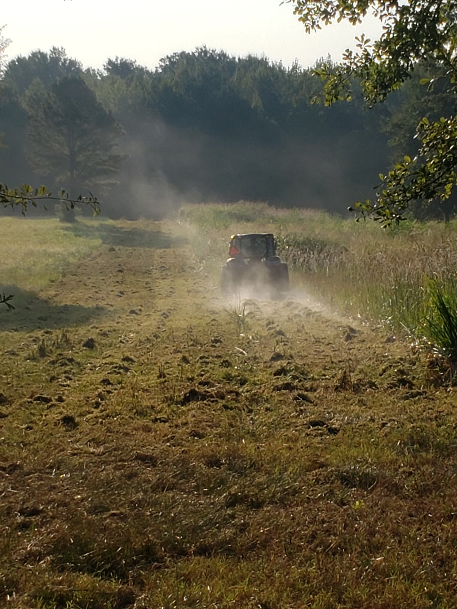 Land Management Project