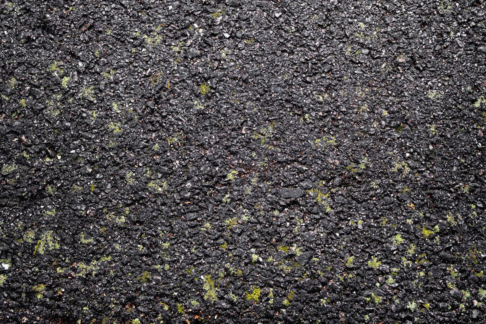 Black pebble pavement with green moss patches