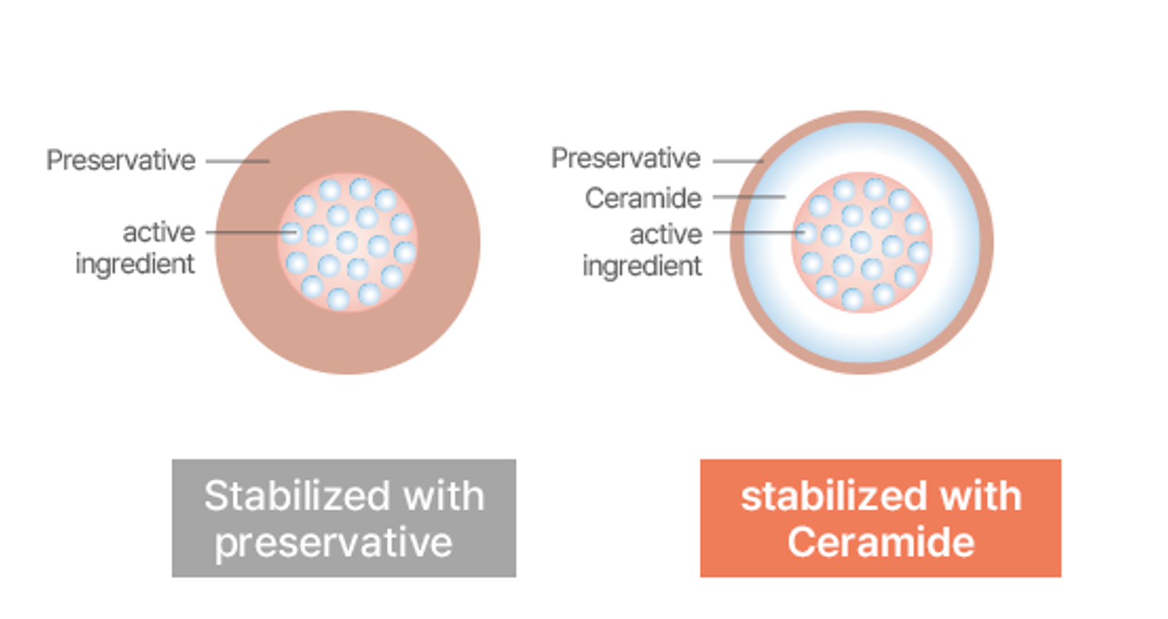 Ceramided Technology Process