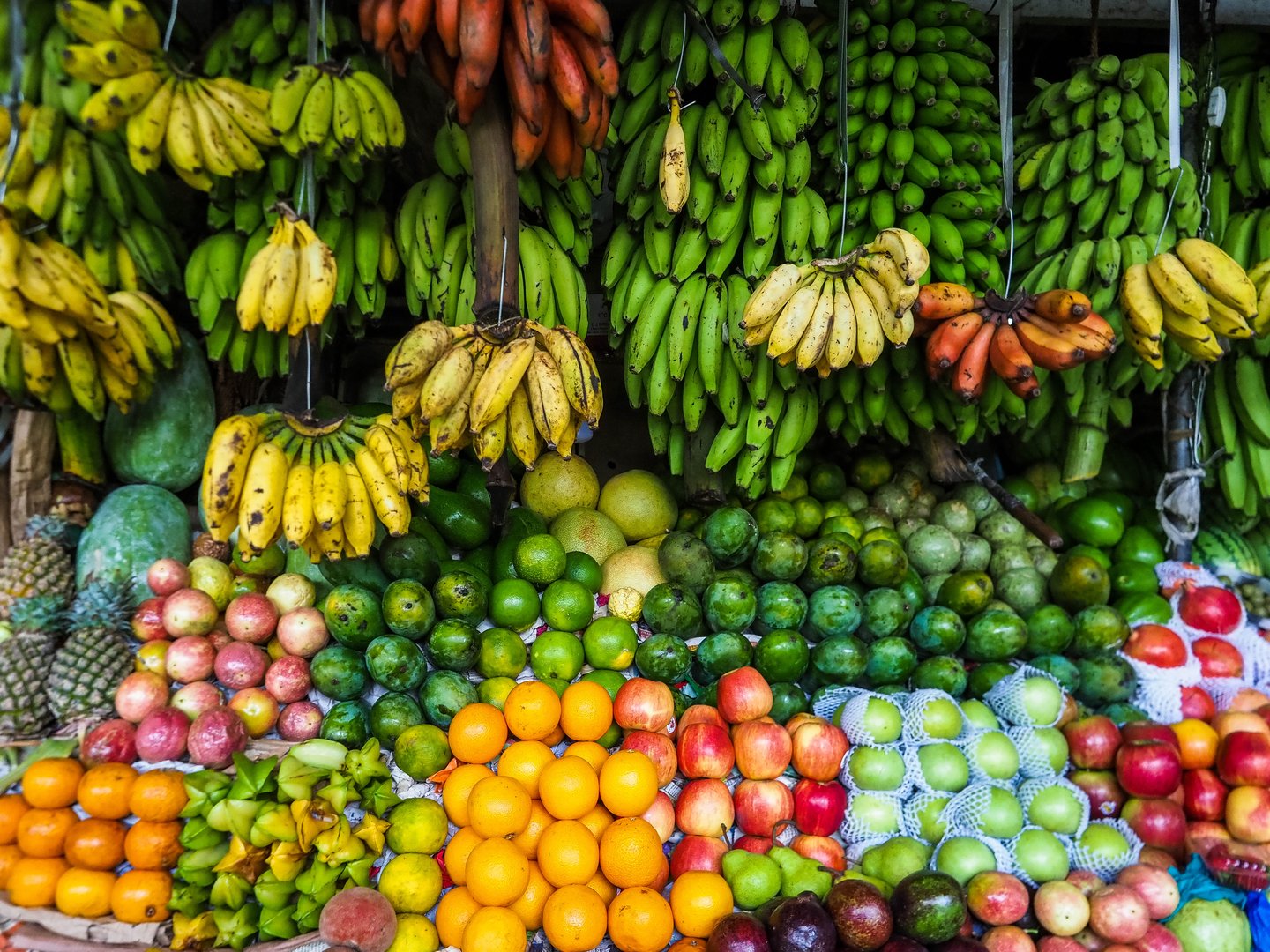 Banana, apple, orange, avocado, watermelon, pear, pineapple, melon
