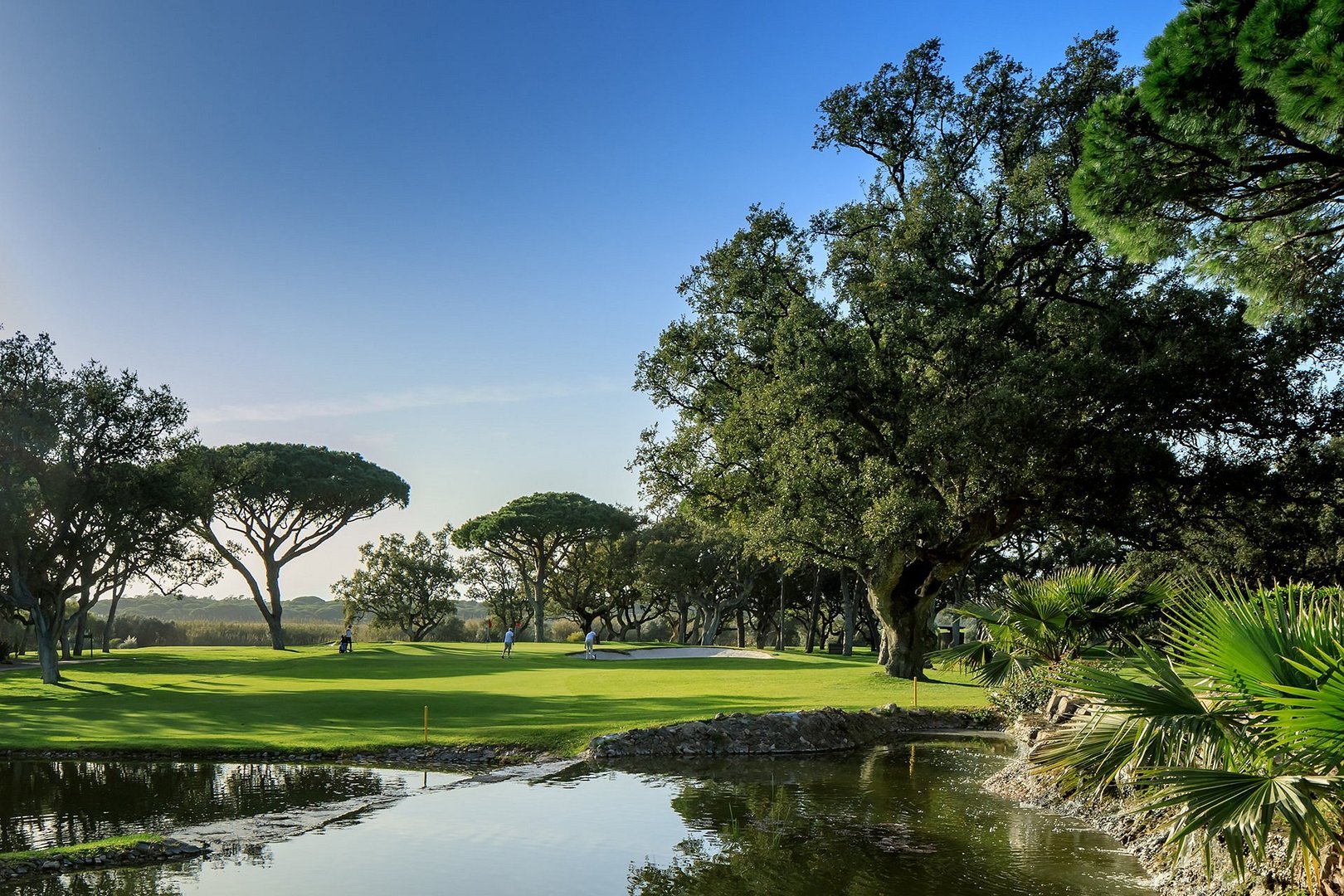 Vale do Lobo Golf Views