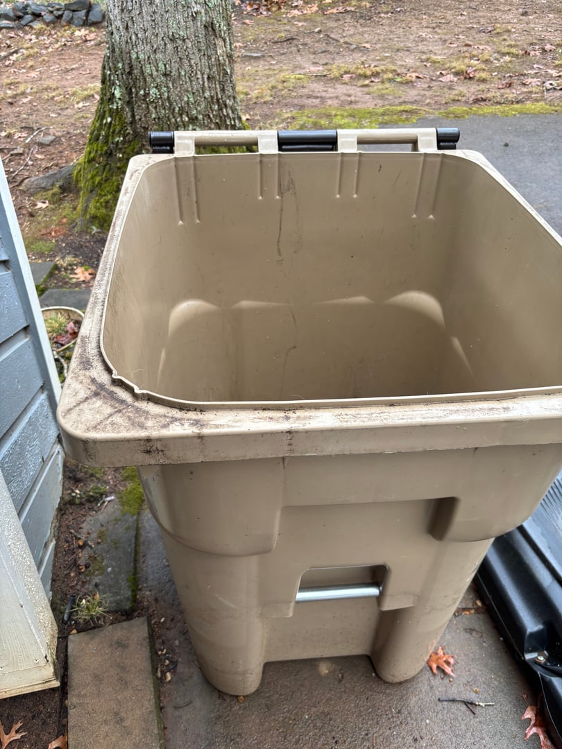 Dirty trash bin before cleaning