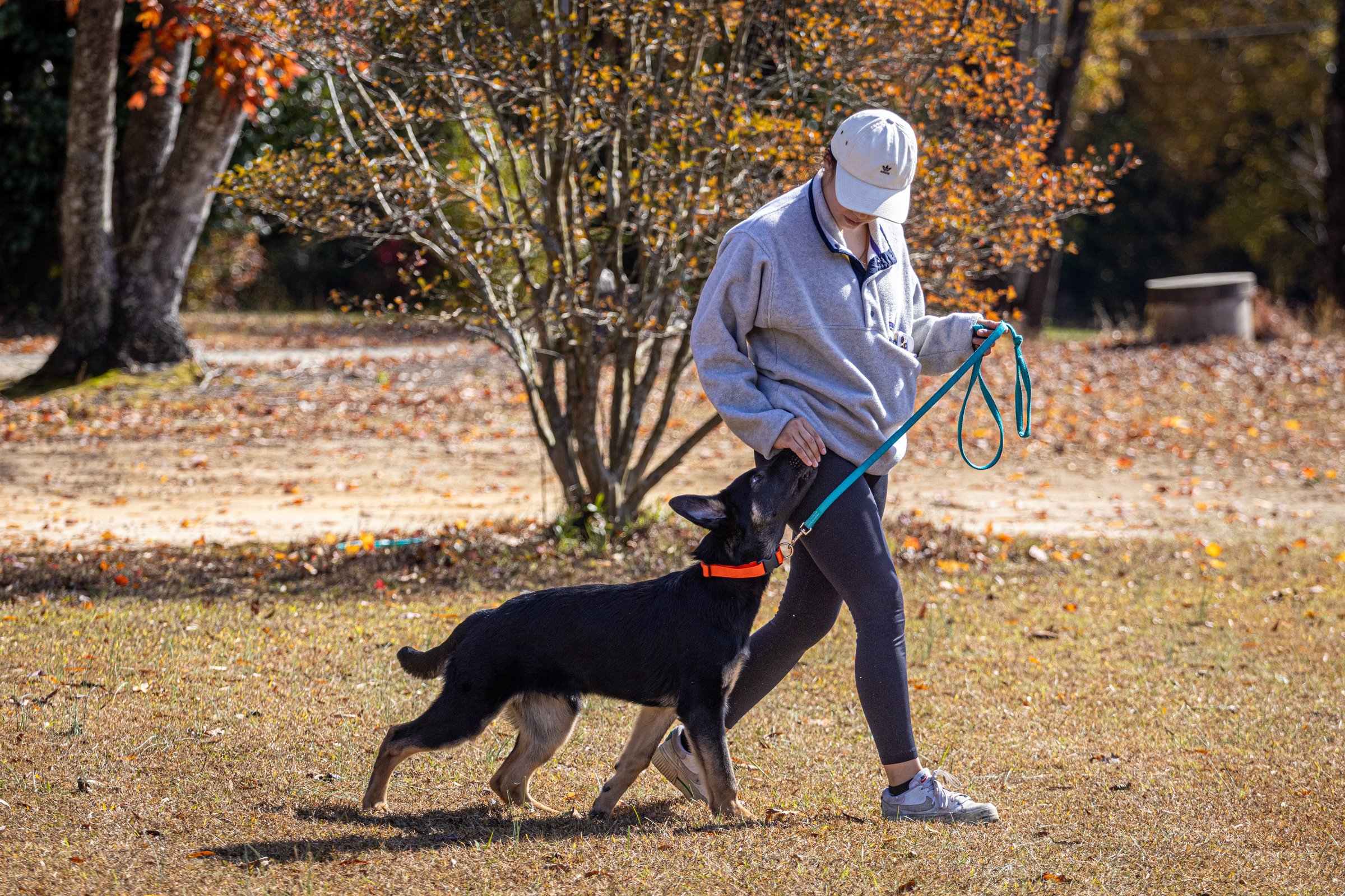 Meet and greet at Bryson's Pet Services