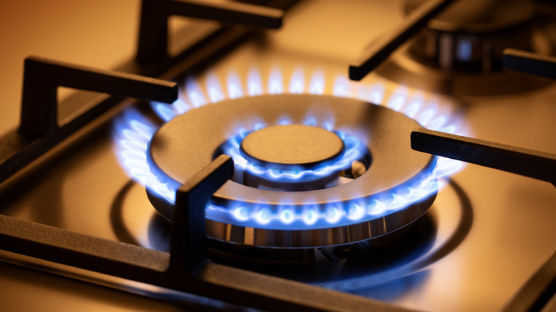 Licensed gas fitting Adelaide gas stove flame