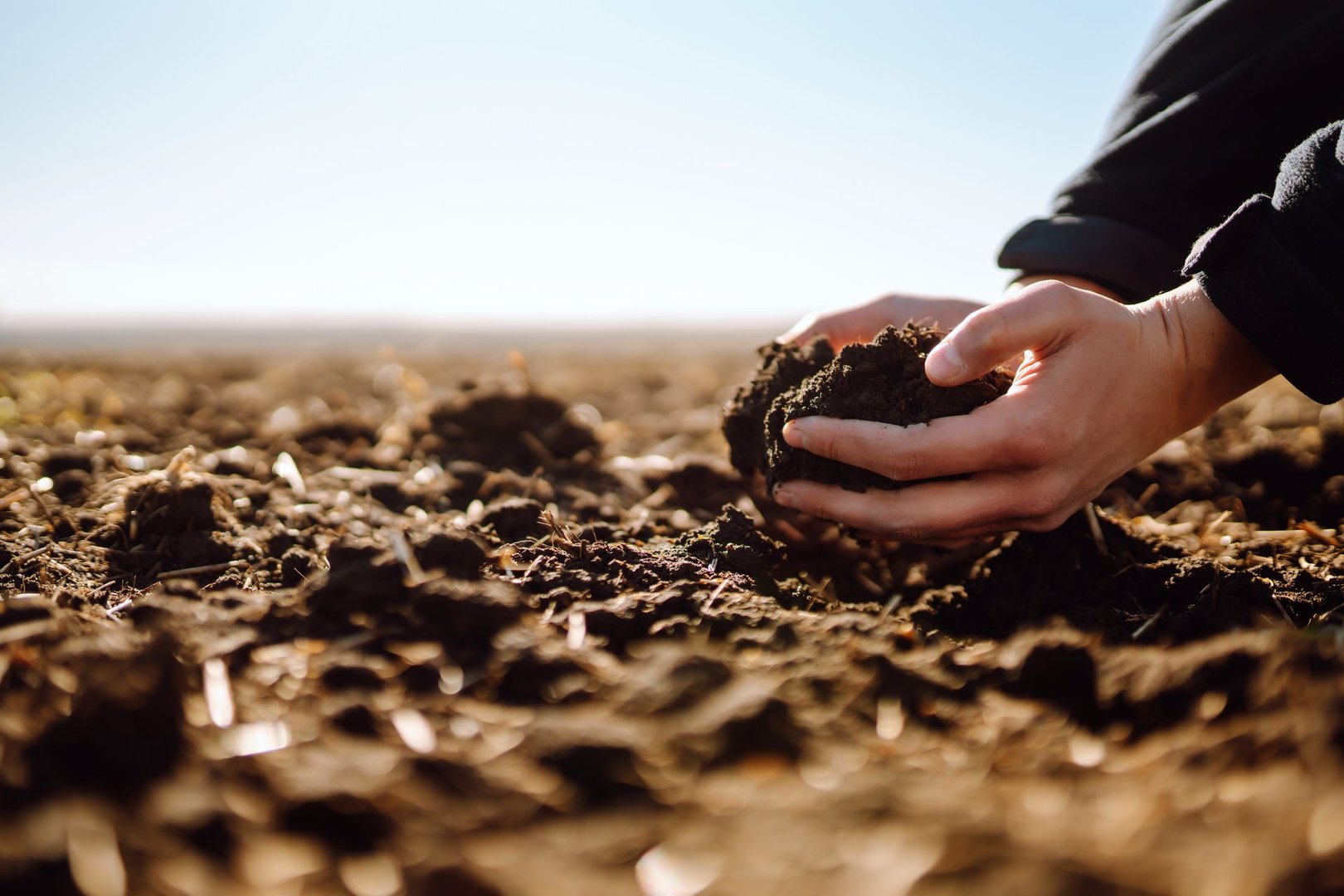 Hand of expert farmer collect soil and pouring to another hand to check quality and prepare  soil at farm field. Agriculture, gardening or ecology concept.
