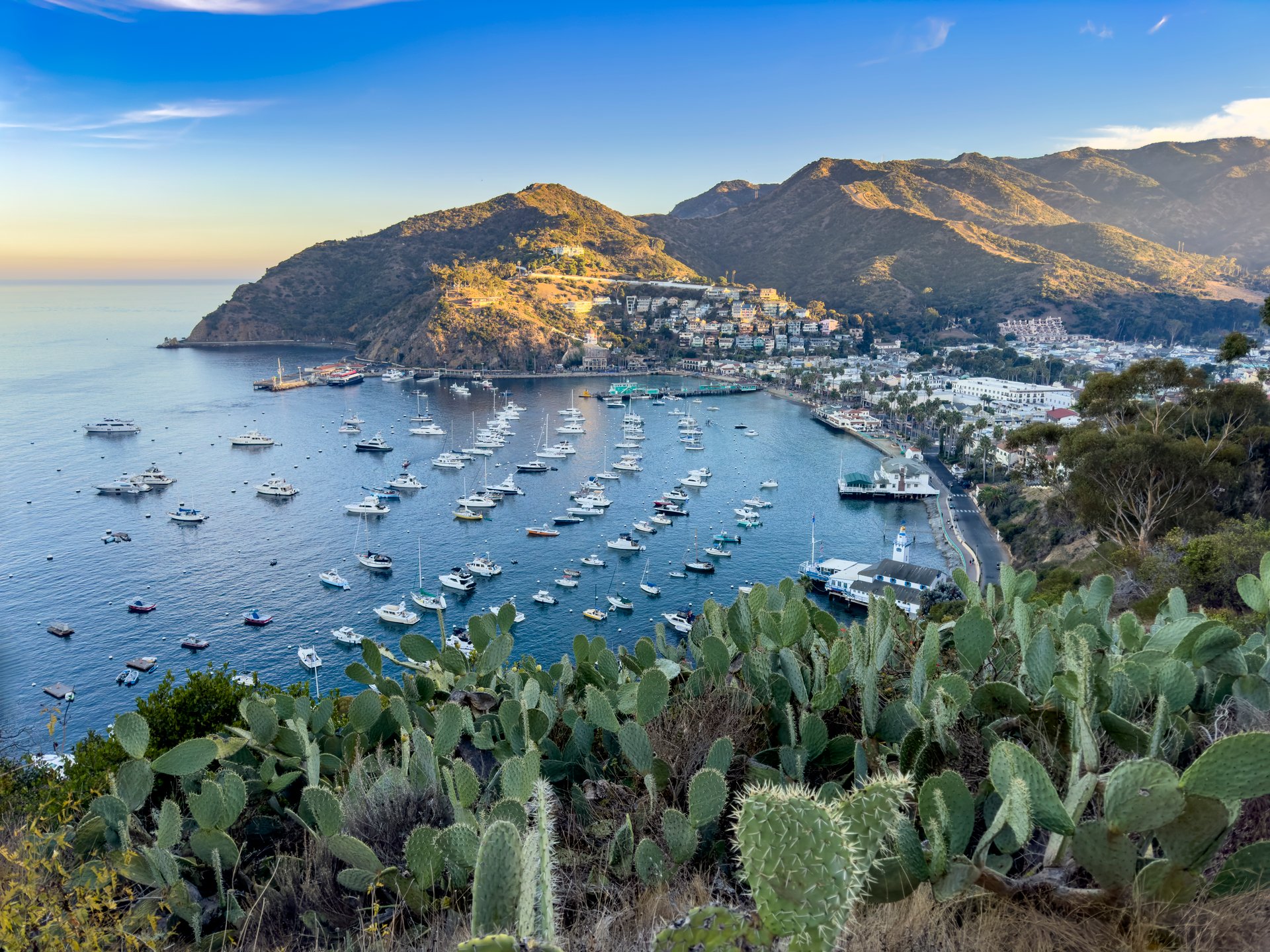 Avalon Harbor at sunset. Shot at Avalon on Catalina Island, California.