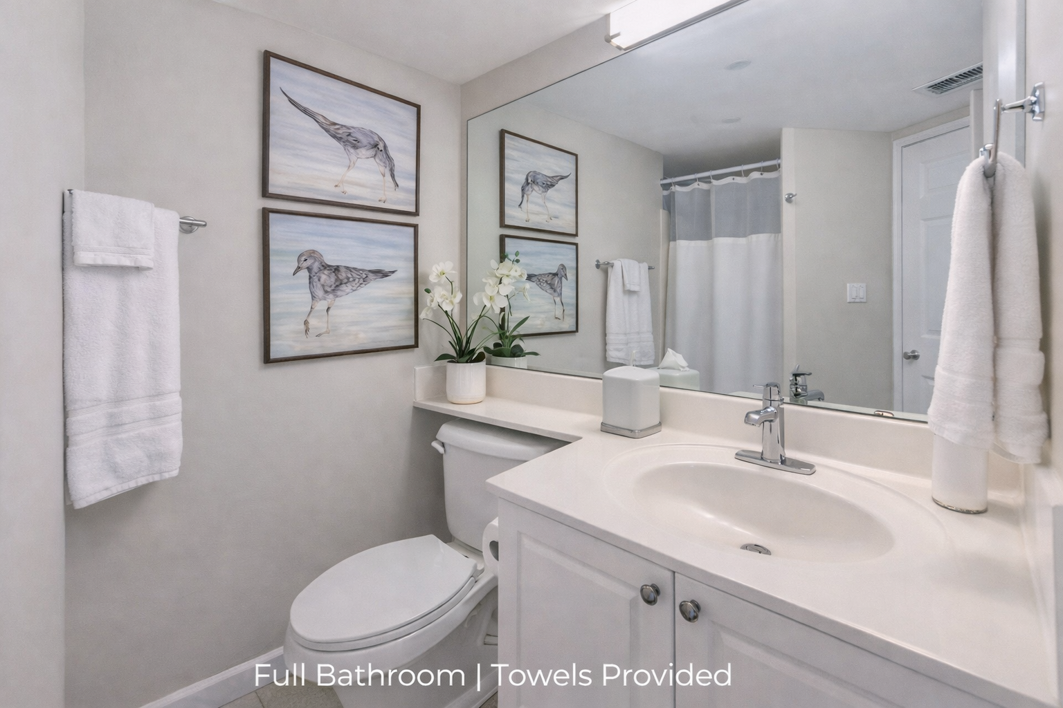 Seahorse Beach Rentals Space