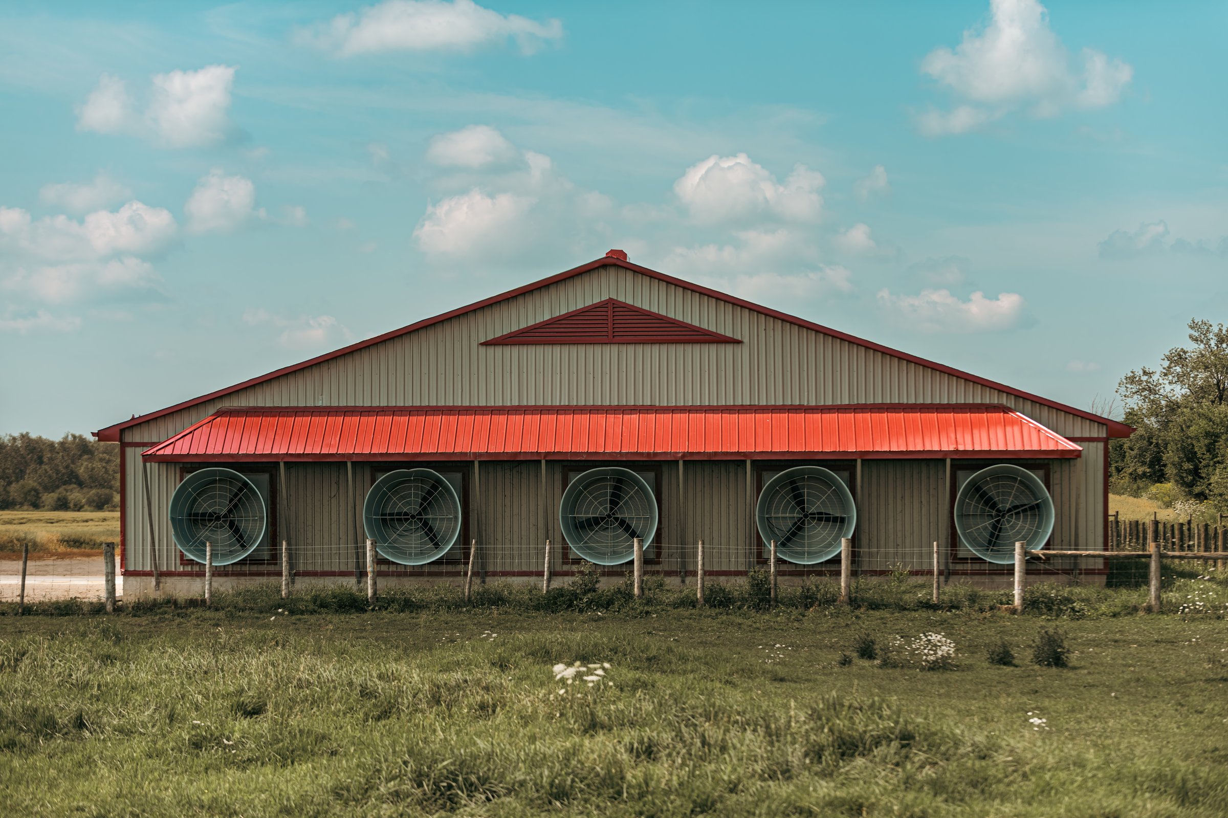 Livestock barn with ventilation fans for animal housing
