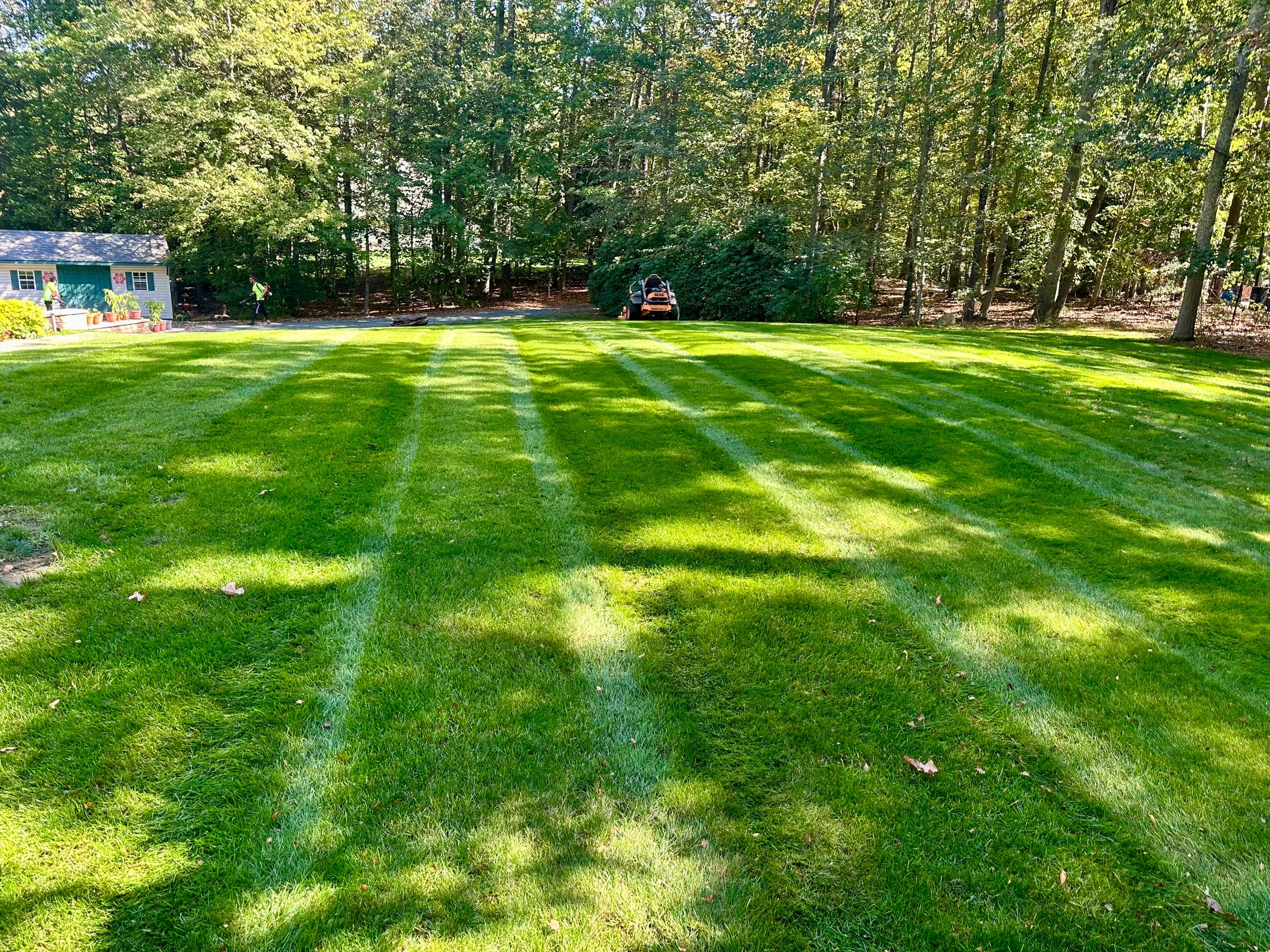 Property cleanup and restoration