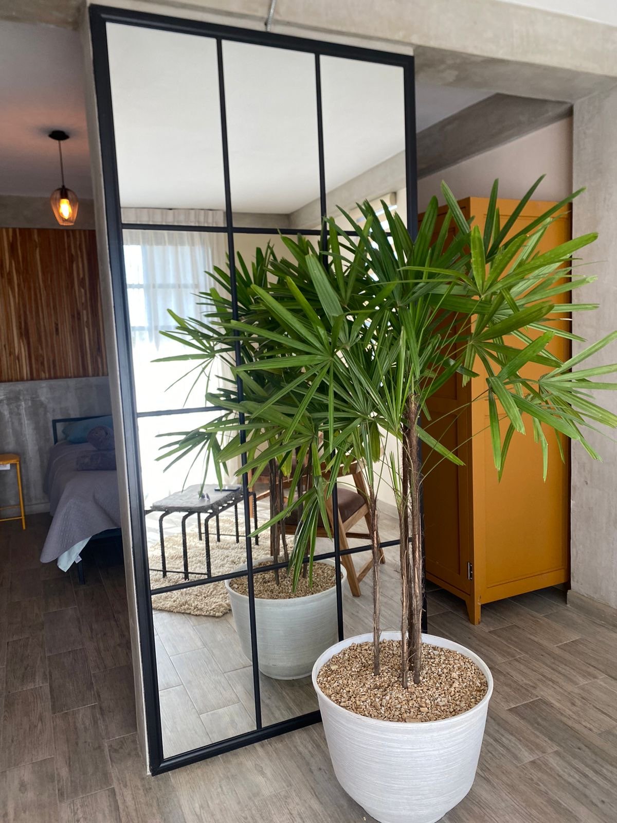 Modern bedroom with a tall plant, large mirror, and yellow wardrobe. Wooden accents and soft lighting enhance the decor.