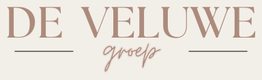De Veluwe Groep Logo