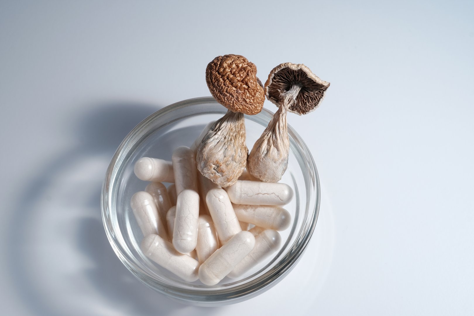 Micro dosing concept. Dry psilocybin mushrooms and natural herbal pills on white background