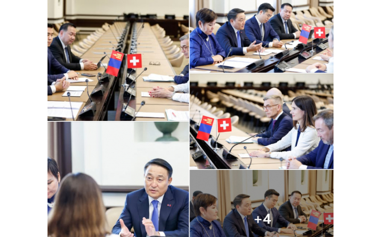 Mongolia-Switzerland Parliamentary Meeting