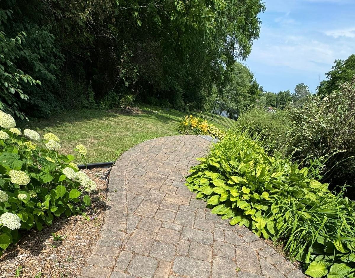 Neglected walkway with weeds
