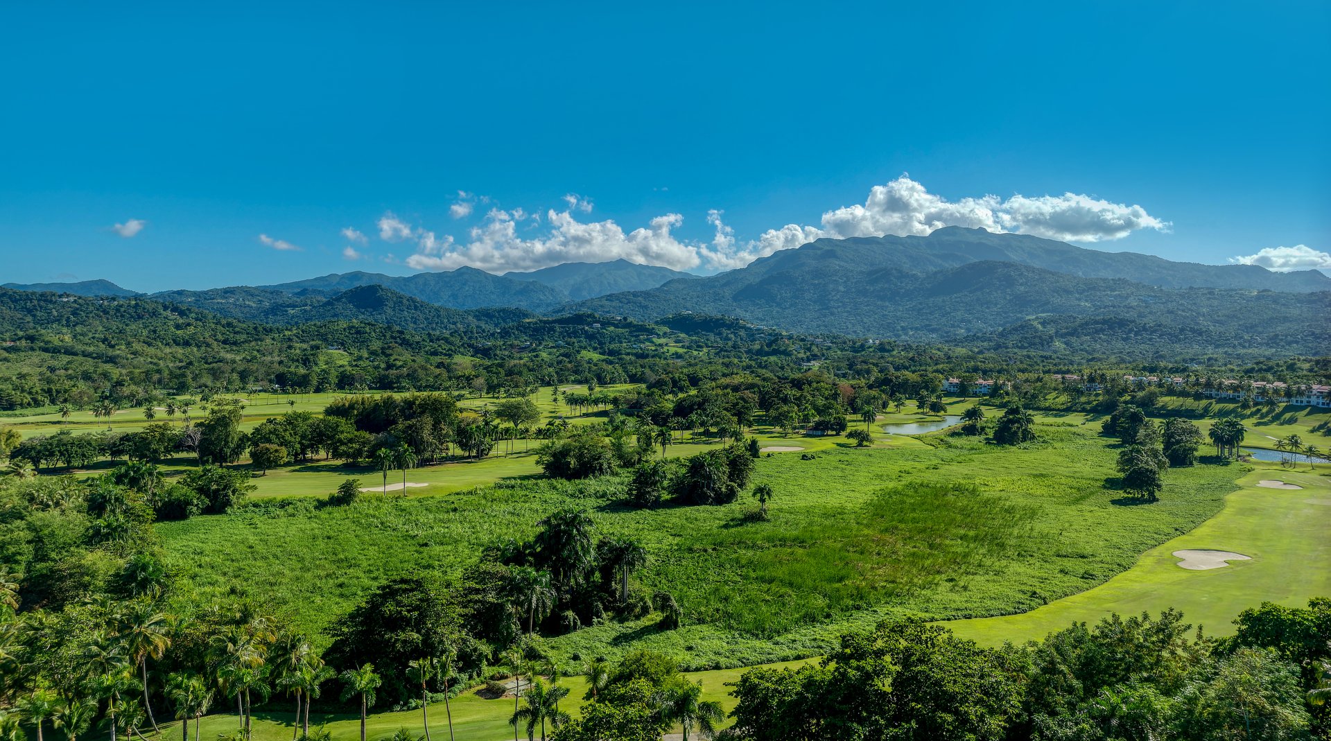 A picturesque view of Rio Mar's lush golf fairway, surrounded by greenery and palm trees, with the majestic El Yunque Rainforest mountain range rising in the background under a clear blue sky.