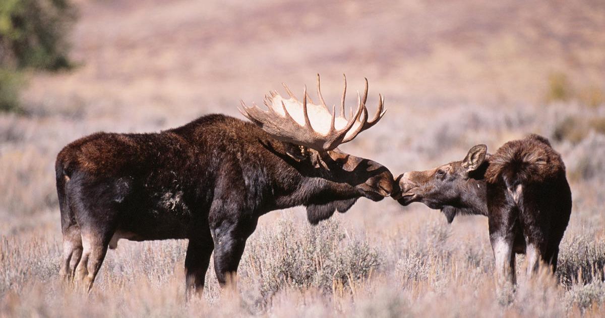 Mesa community gateway to Grand Mesa adventure