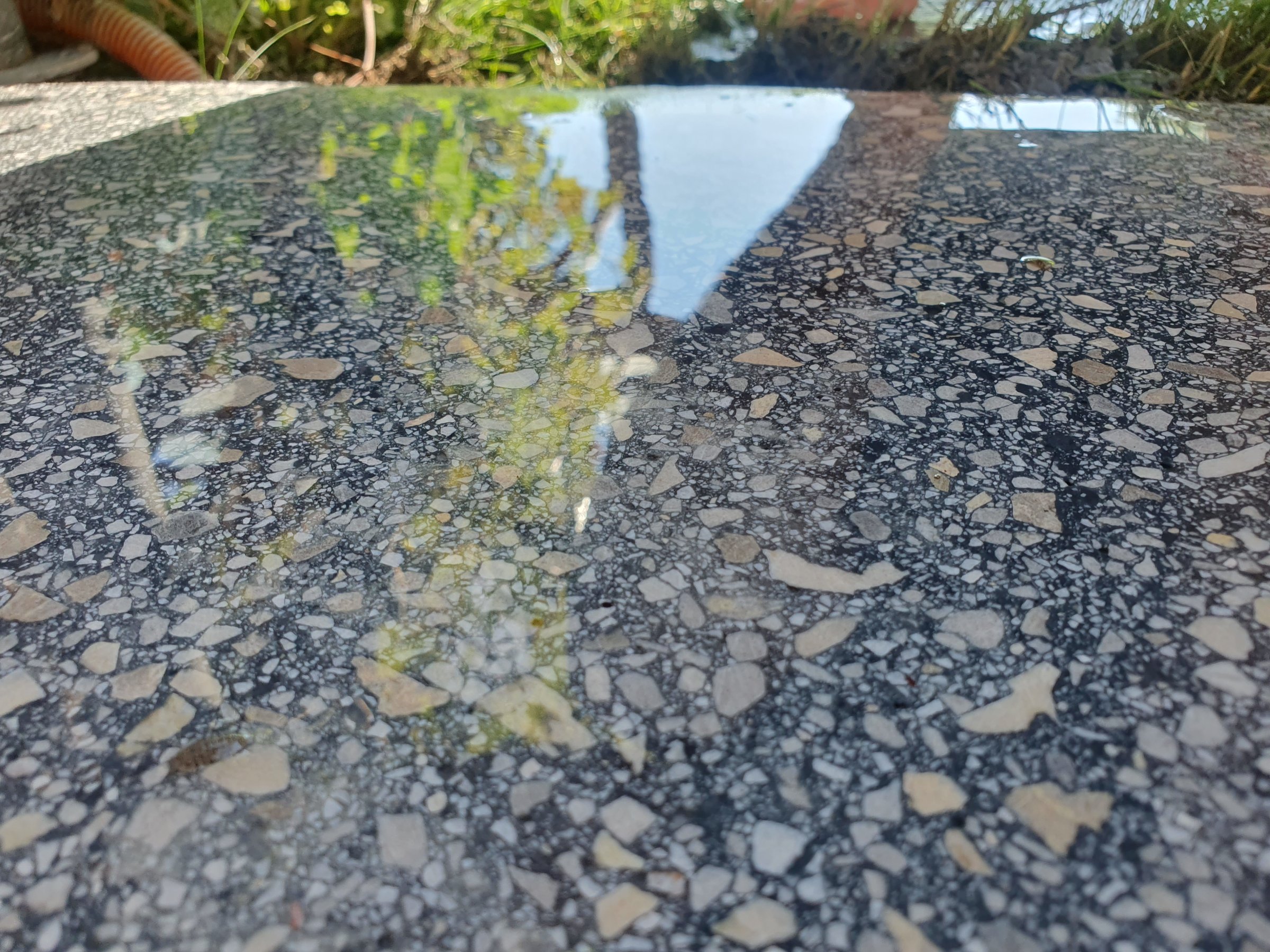 Close-up of polished concrete with stone fragments and a reflection of outdoor greenery on its surface.