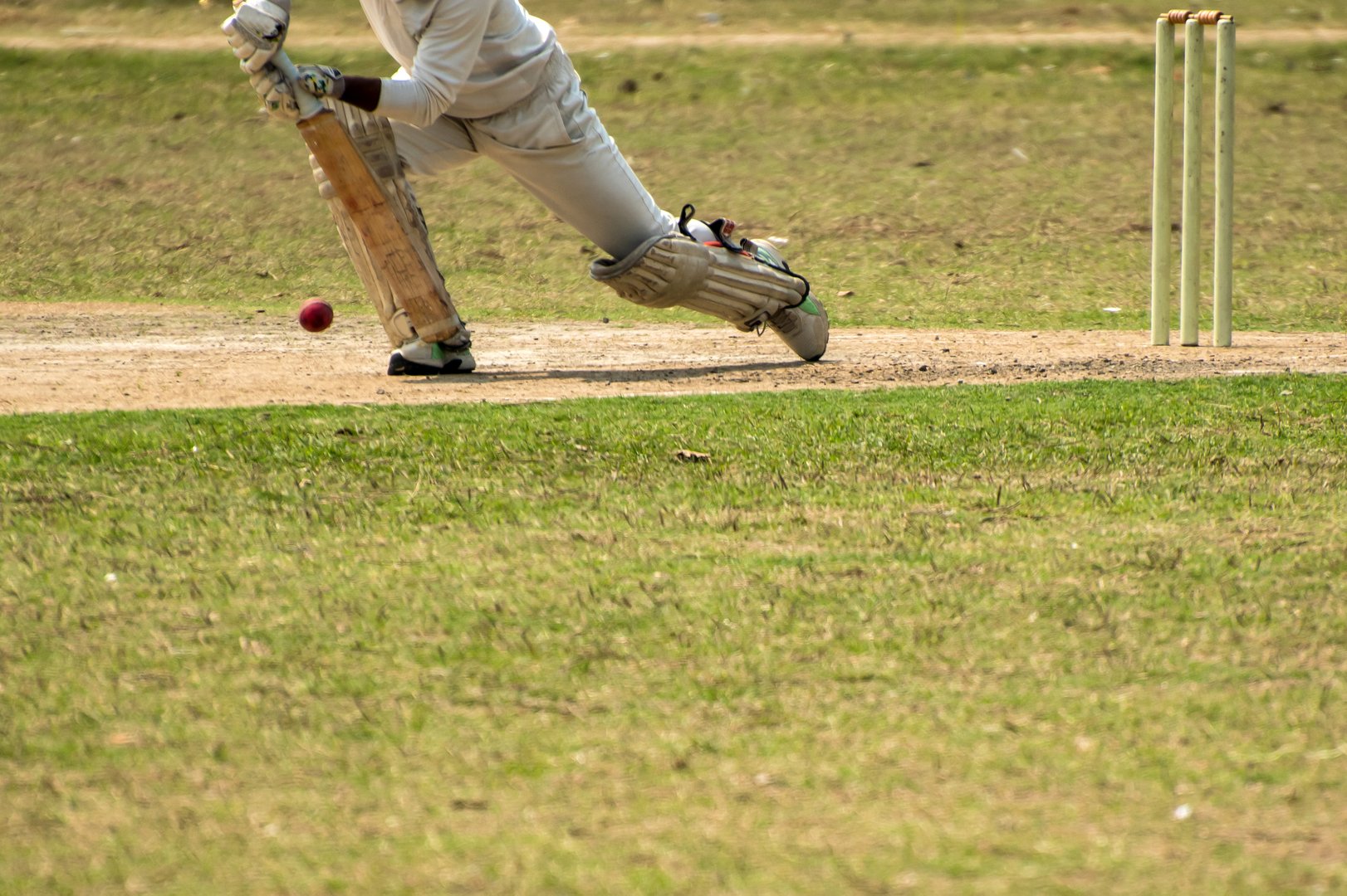 Cricket batsman playing defensive stocks