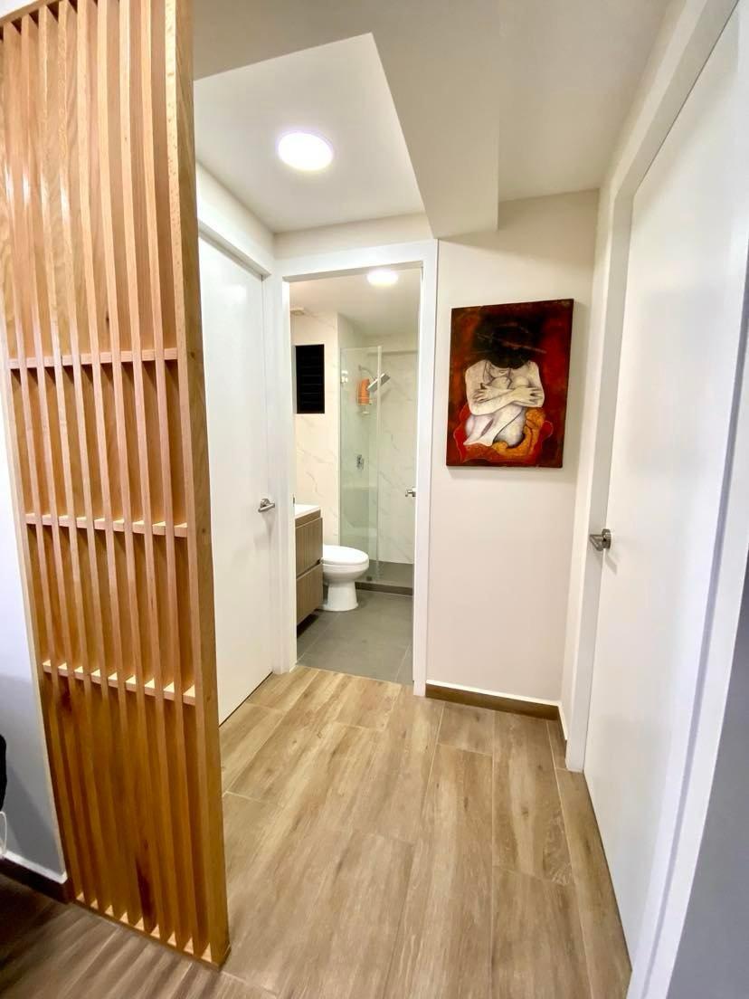 Rio Balsas 60 apartment