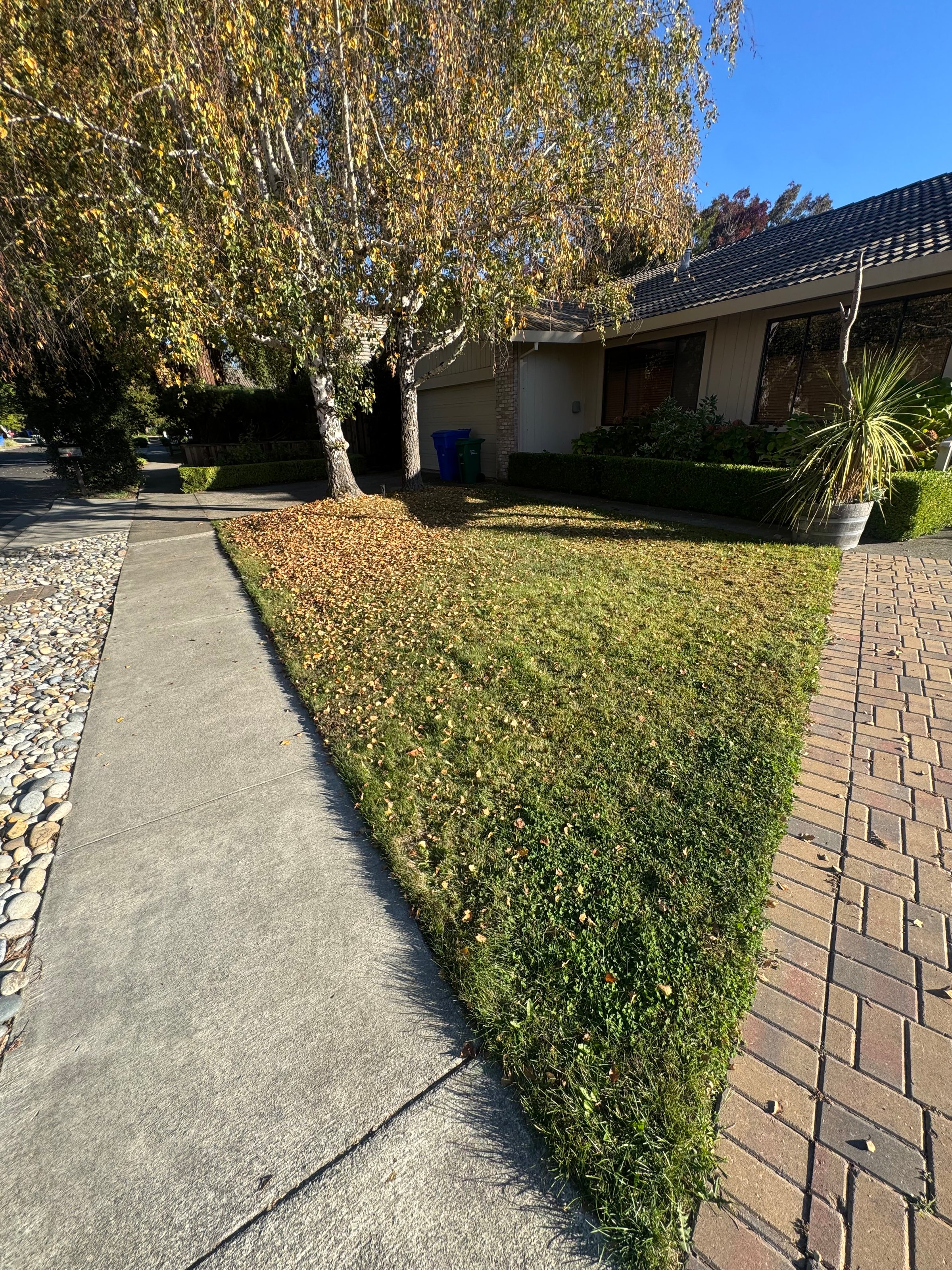 Before lawn maintenance
