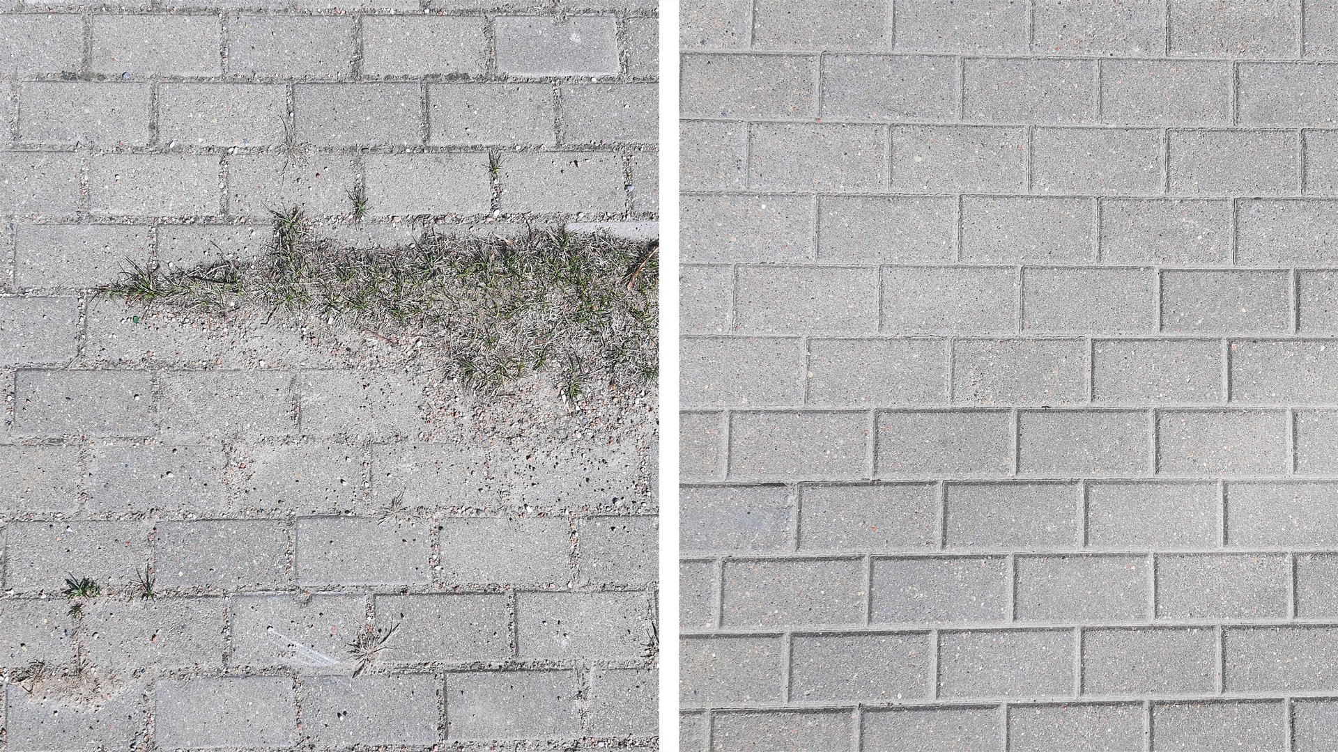Paving slabs featuring grass and sand in between, contrasted with the same slabs before and after a thorough cleaning, results of cleaning process