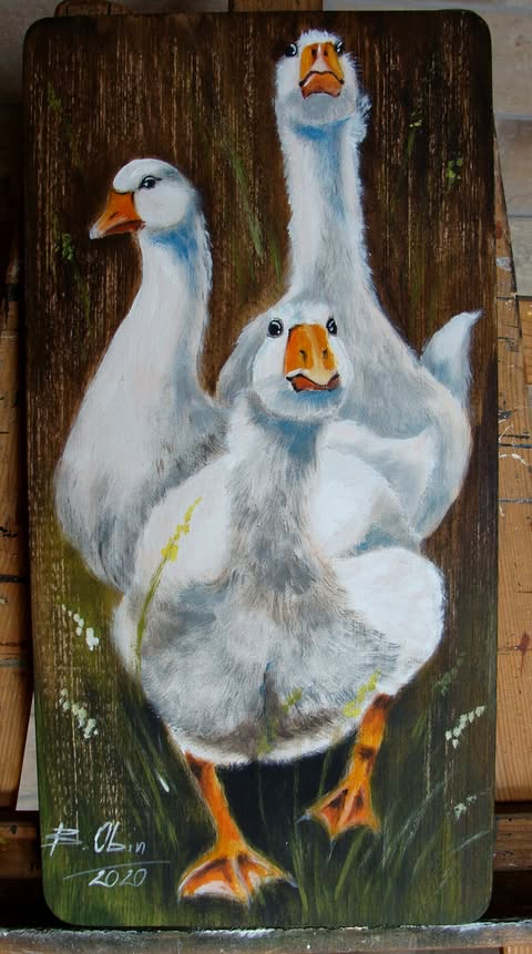 Gęsi 2