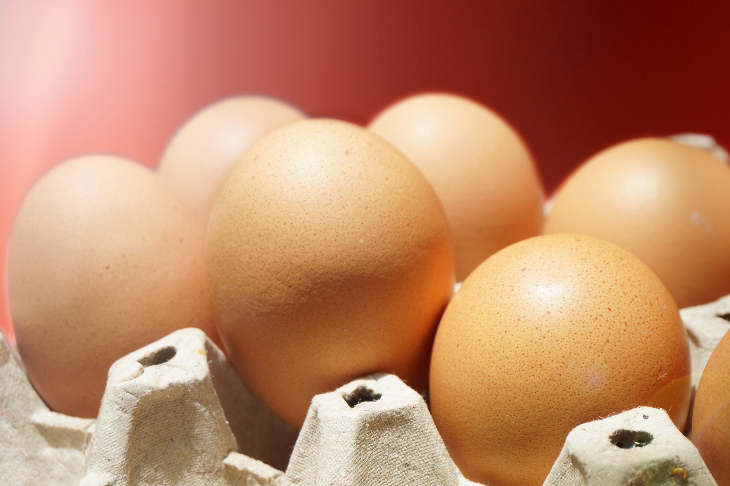 Selective focus Chicken Eggs put in tray with light flare. For healthy concept, medical concept. Nutrition and diet idea concept. Health benefits of eggs.