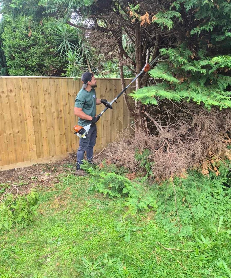 Tree and hedge work