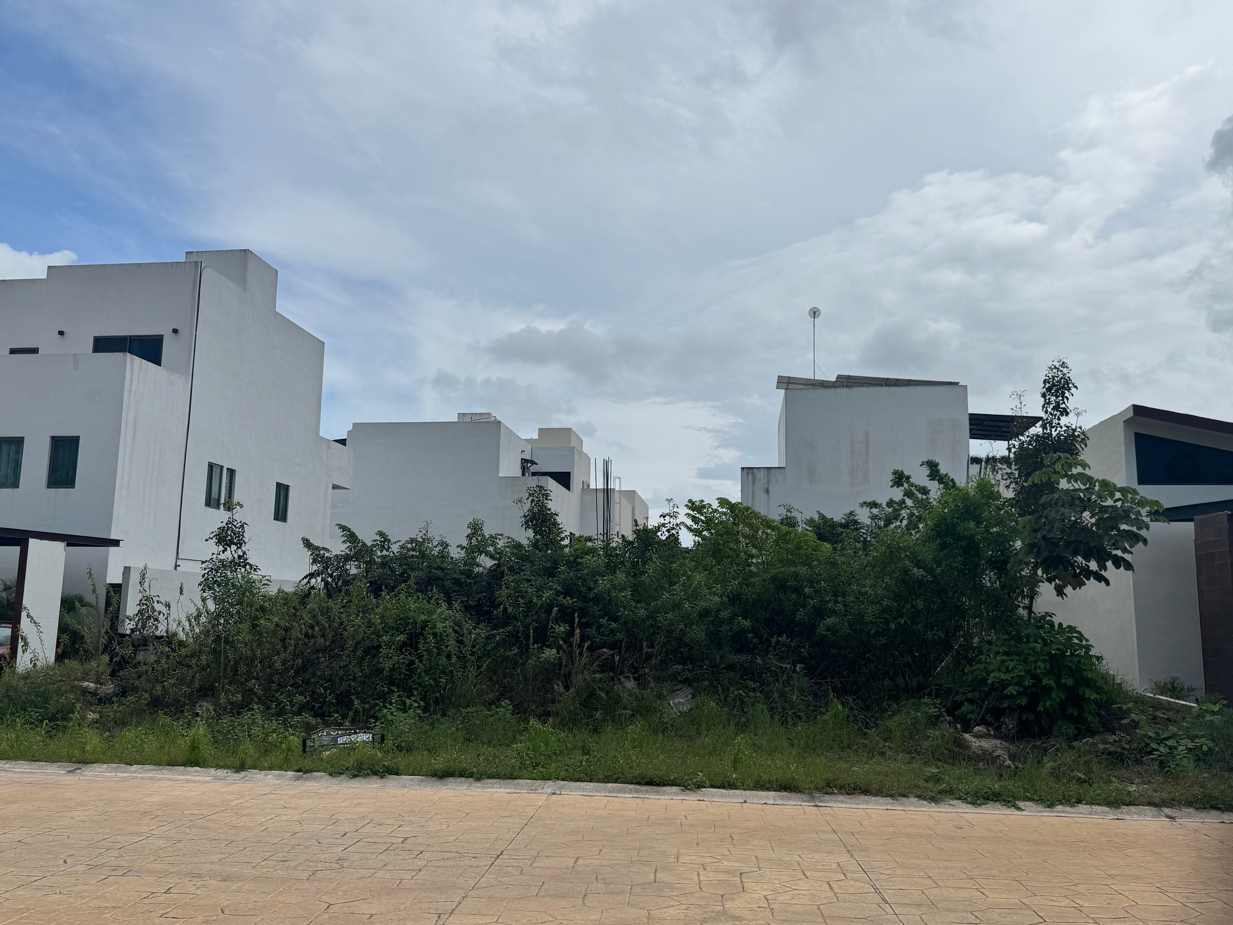 Oportunidad de inversión Selva 44