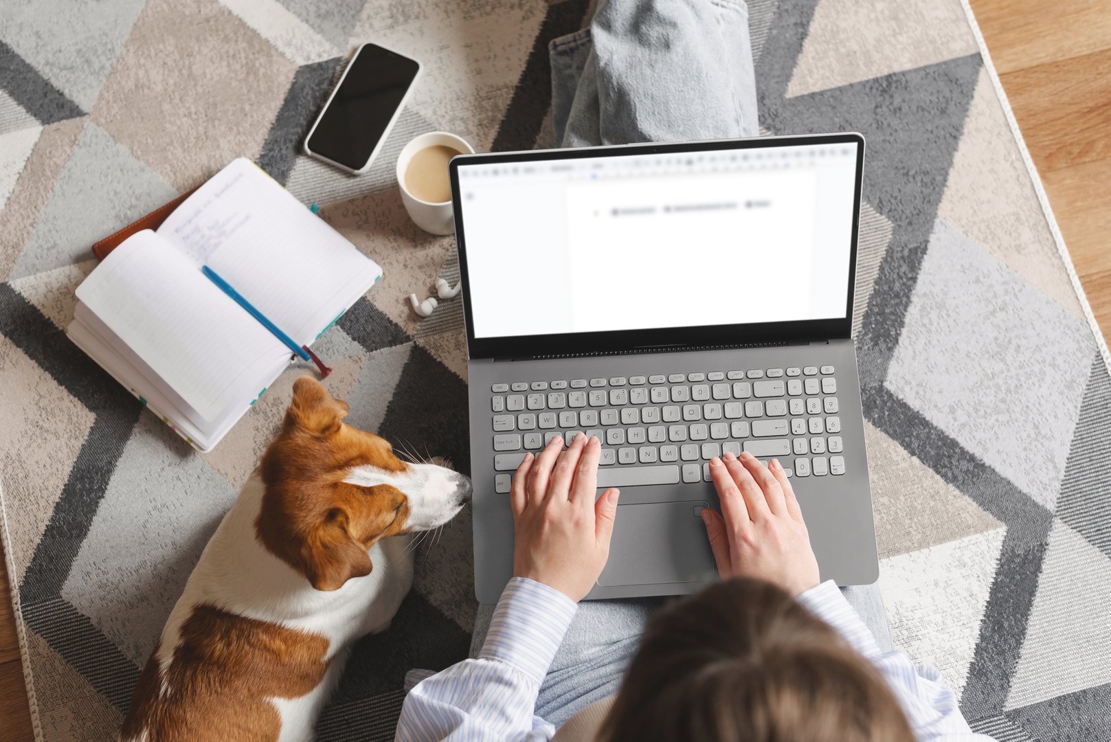 Young woman working or studying remotely from home, sitting on the floor with a laptop while her Jack Russell Terrier dog relaxes beside her. Online education, freelance or lifestyle with pet