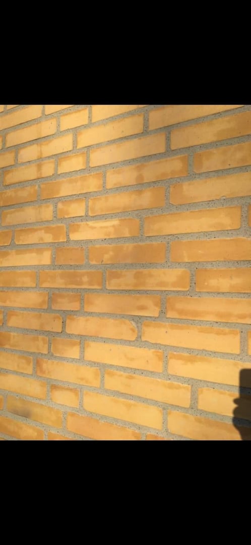 Professionel omfugning