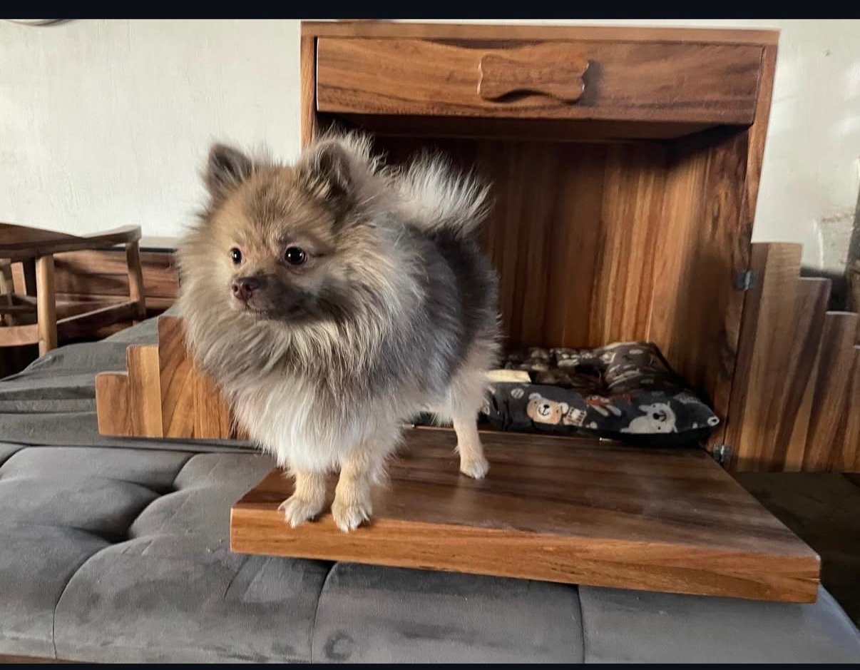 Cama para mascota en madera de parota con colchón ortopédico y patas elevadas