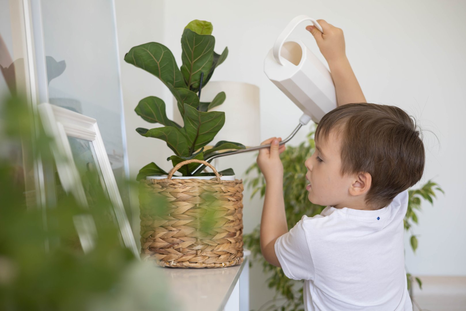 Little cute boy is watering indoor plants from a stylish watering can in a designer home interior.