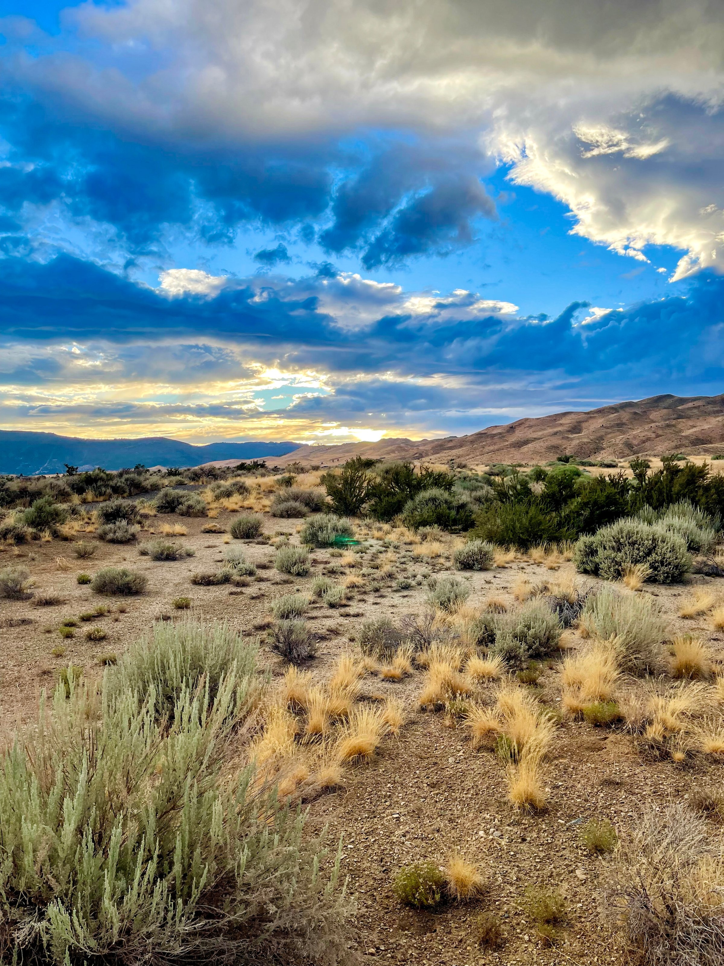 Northern Nevada - Evening Light With  Clouds - High Desert Landscape - August