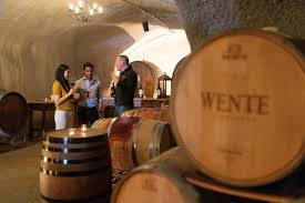 Three people tasting wine in a dimly lit cellar with large wooden barrels in the foreground.