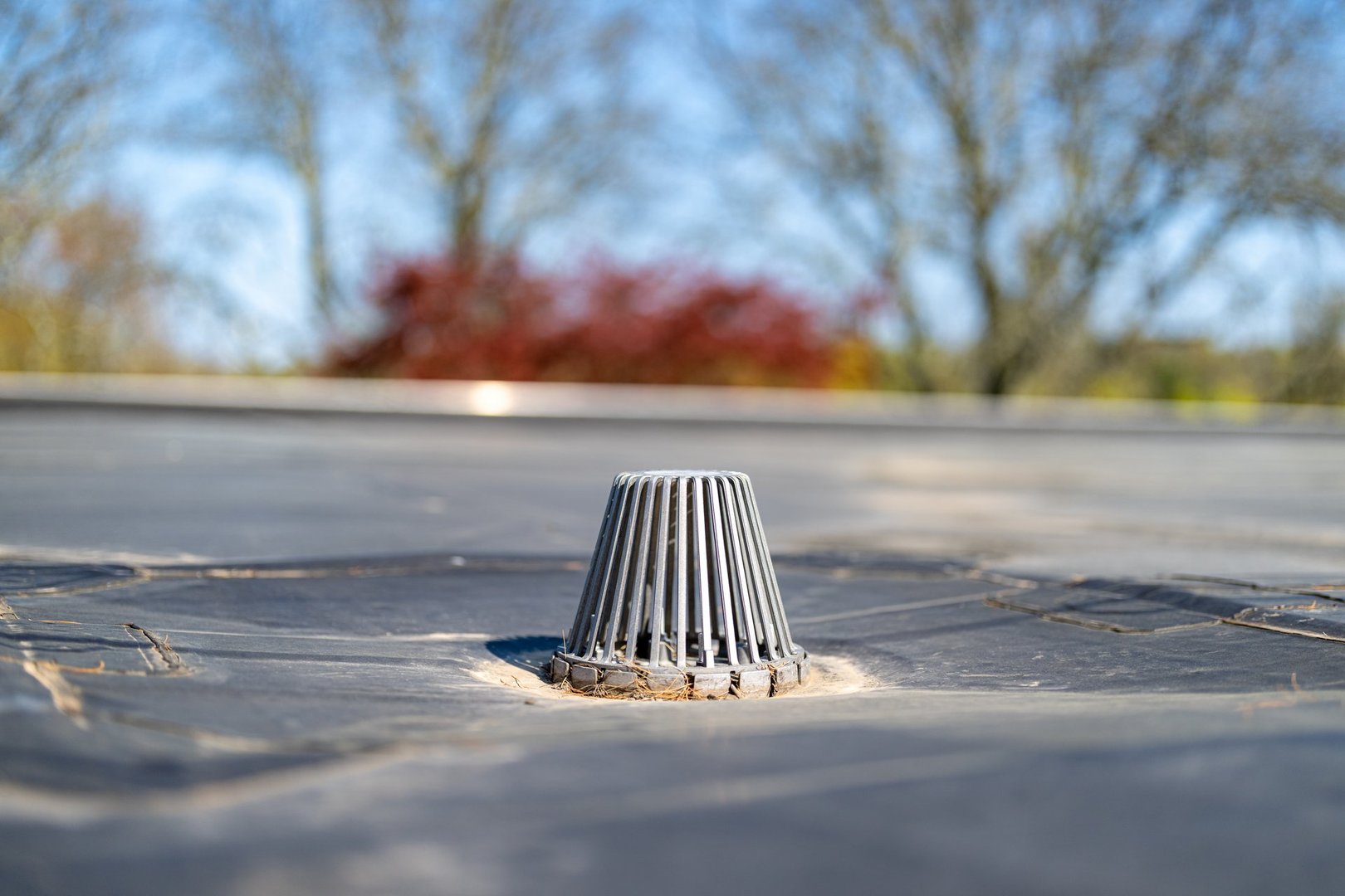 Clean metal caged roof drain on a flat EPDM roof.
