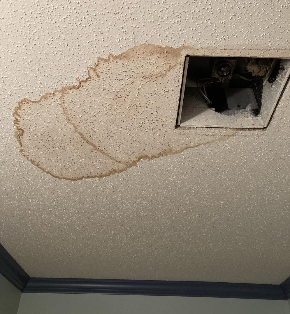 Diagnostic investigation work