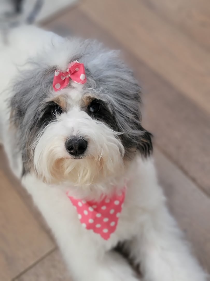 Sophie - Director of Party Planning