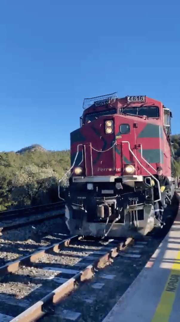 Viaje a Barrancas del Cobre - Emiliano