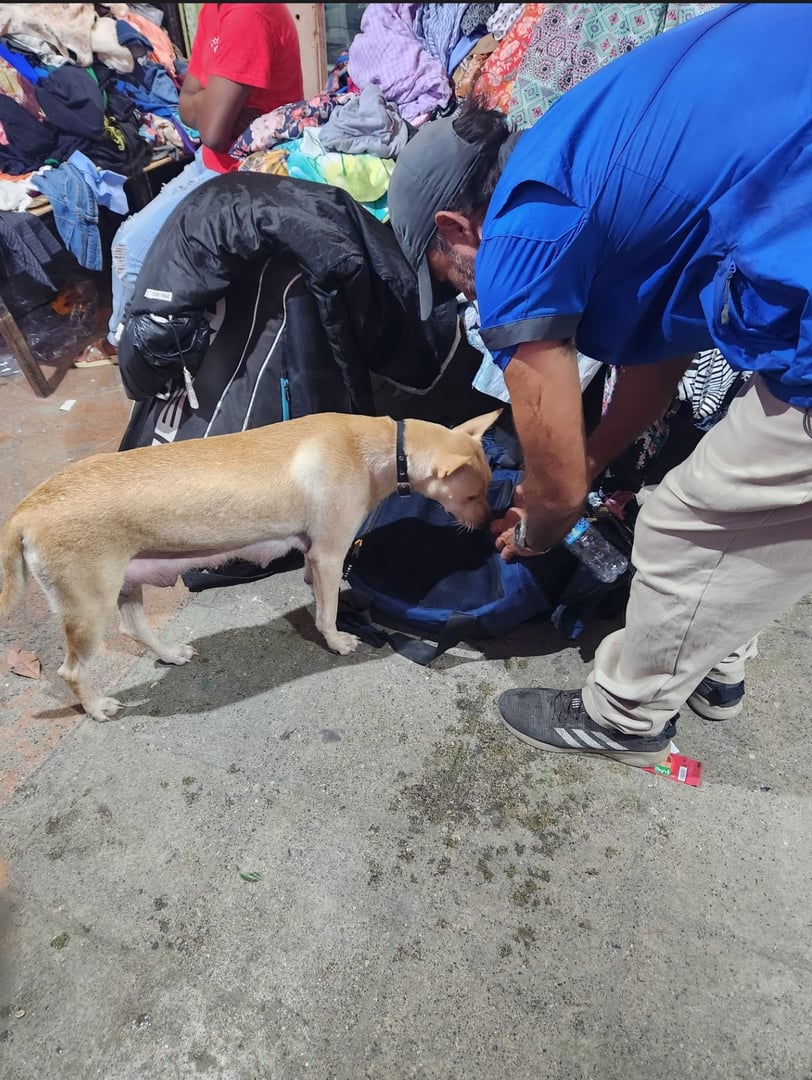 Rescate de emergencia en acción