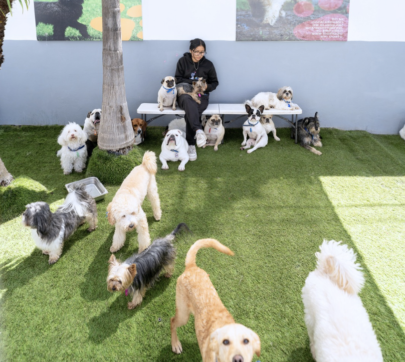 Espacios de Juego - Huellitas Resort