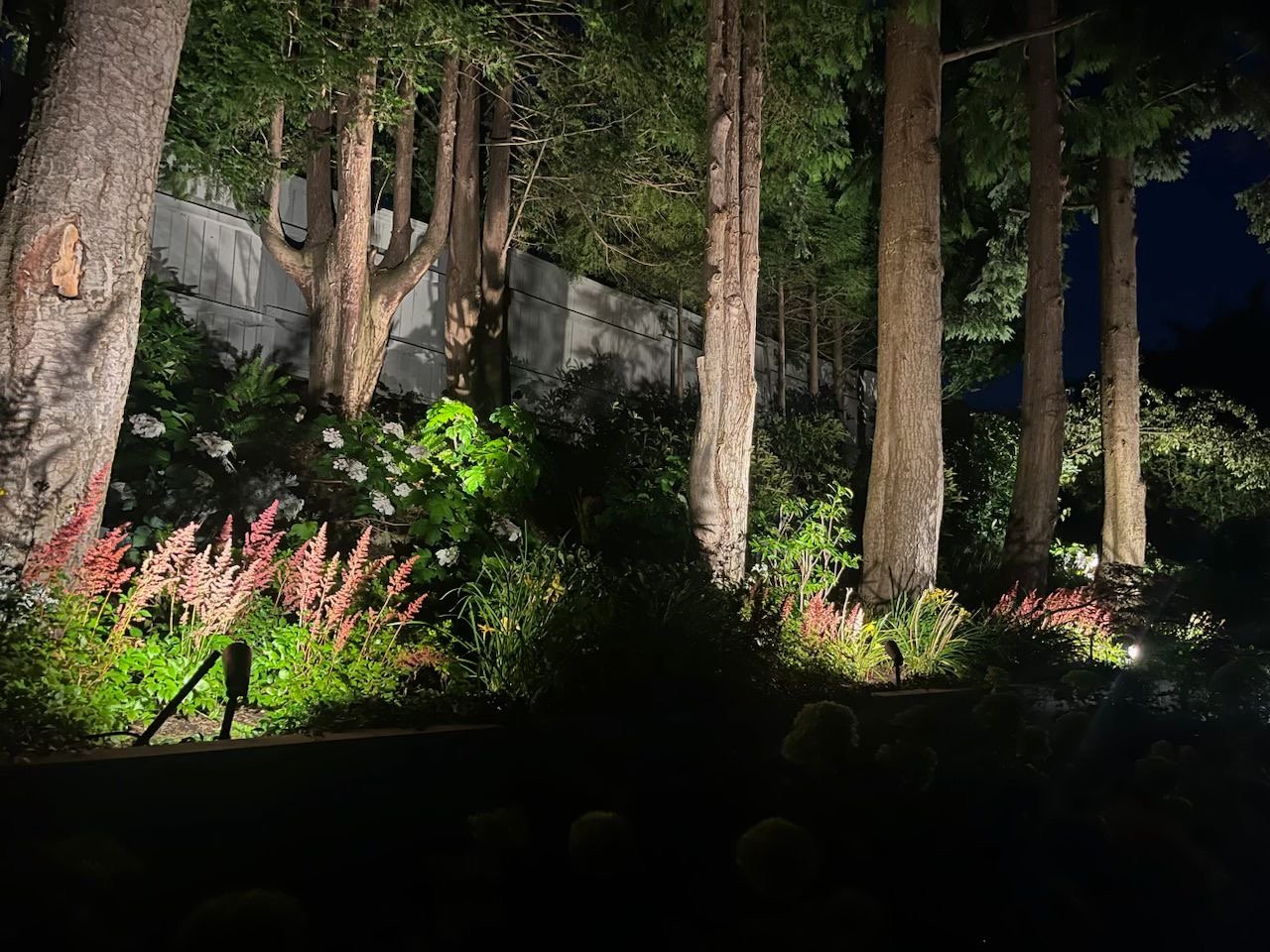 Landscape and path lights