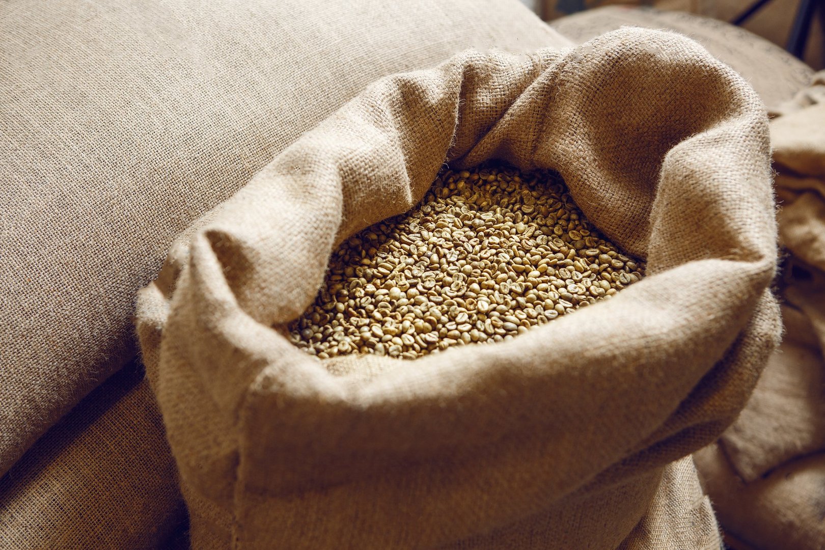Overhead view reveals an opened jute bag brimming with fresh coffee beans, resting on other bags in bustling warehouse environment.