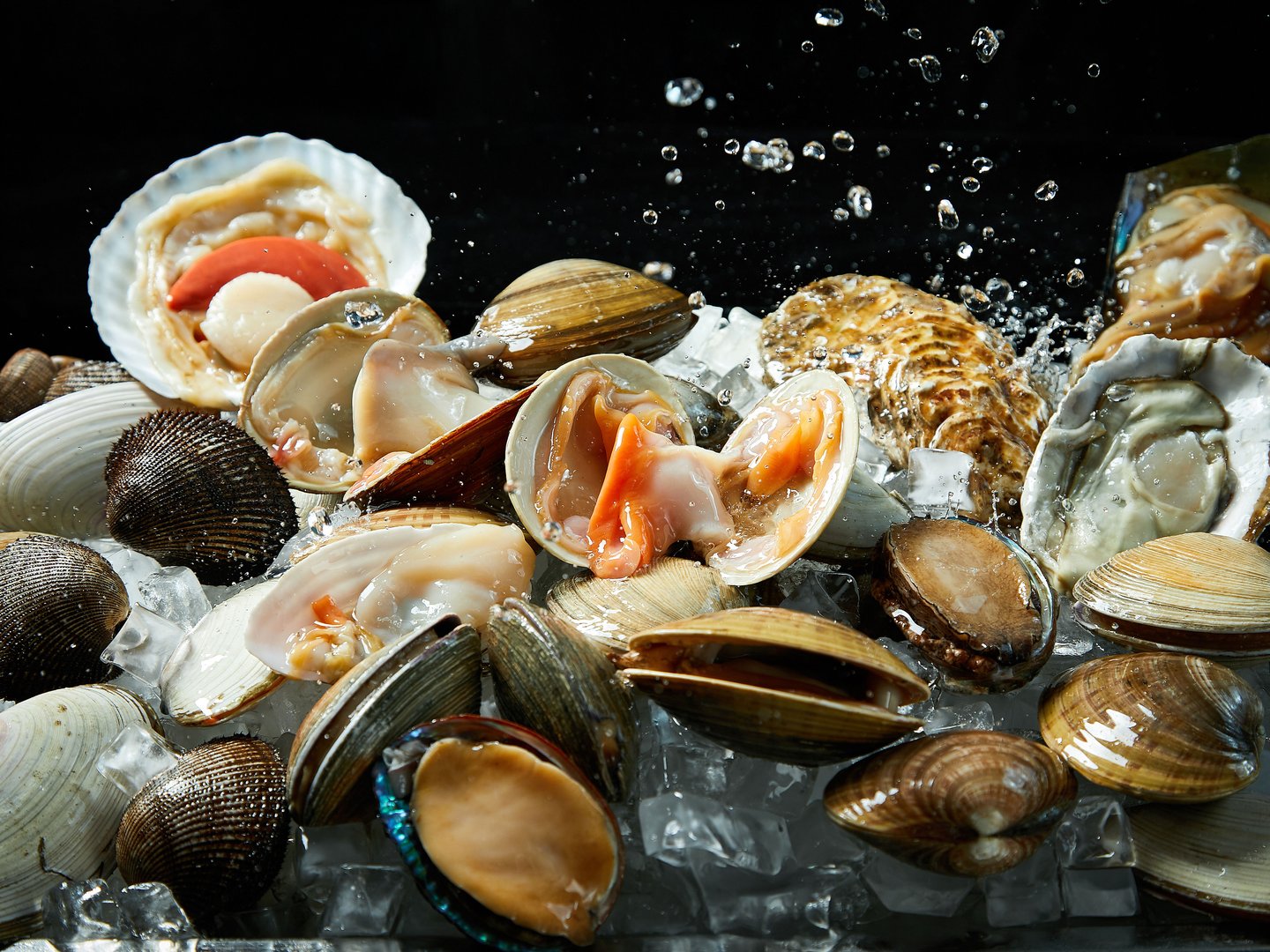 High-speed photography of fresh clam shells in water