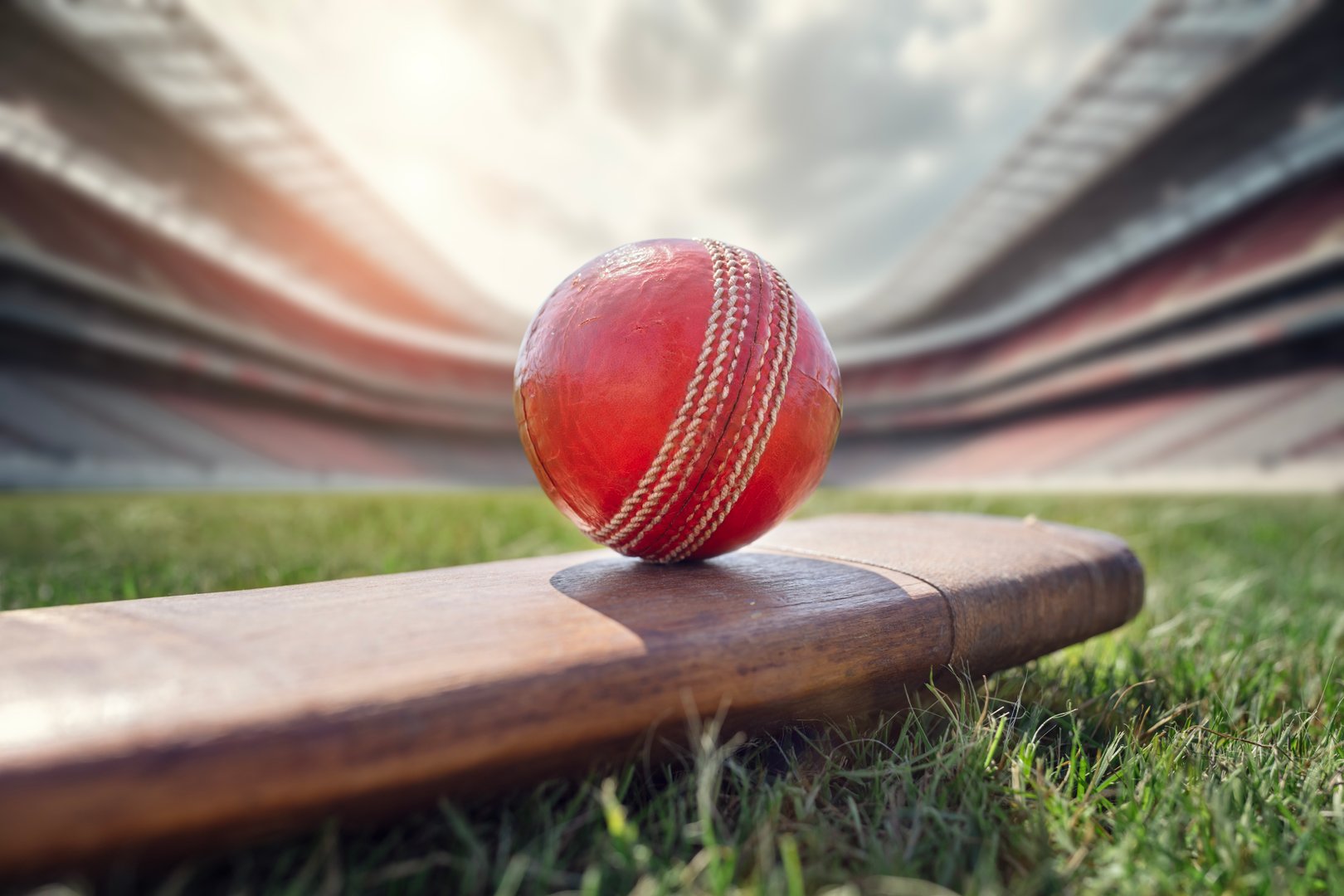 Cricket ball on top of old wooden cricket bat on green grass of cricket stadium ground background