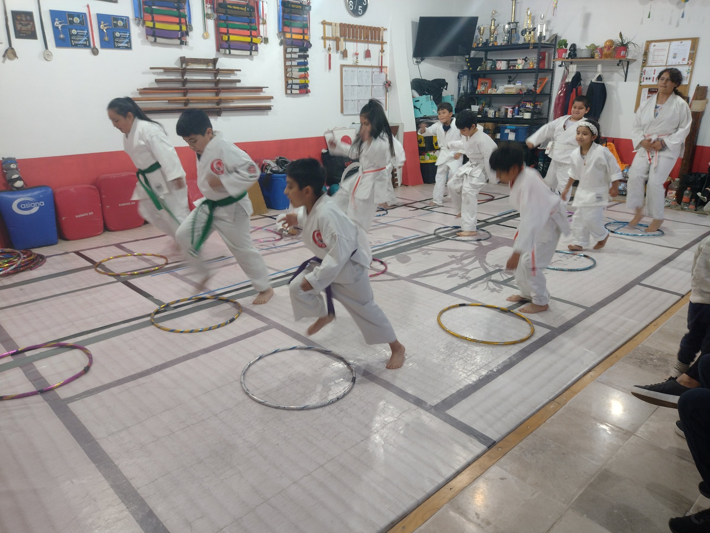 Dojo Image 18