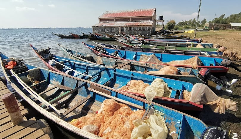 Cultural Dance Performance