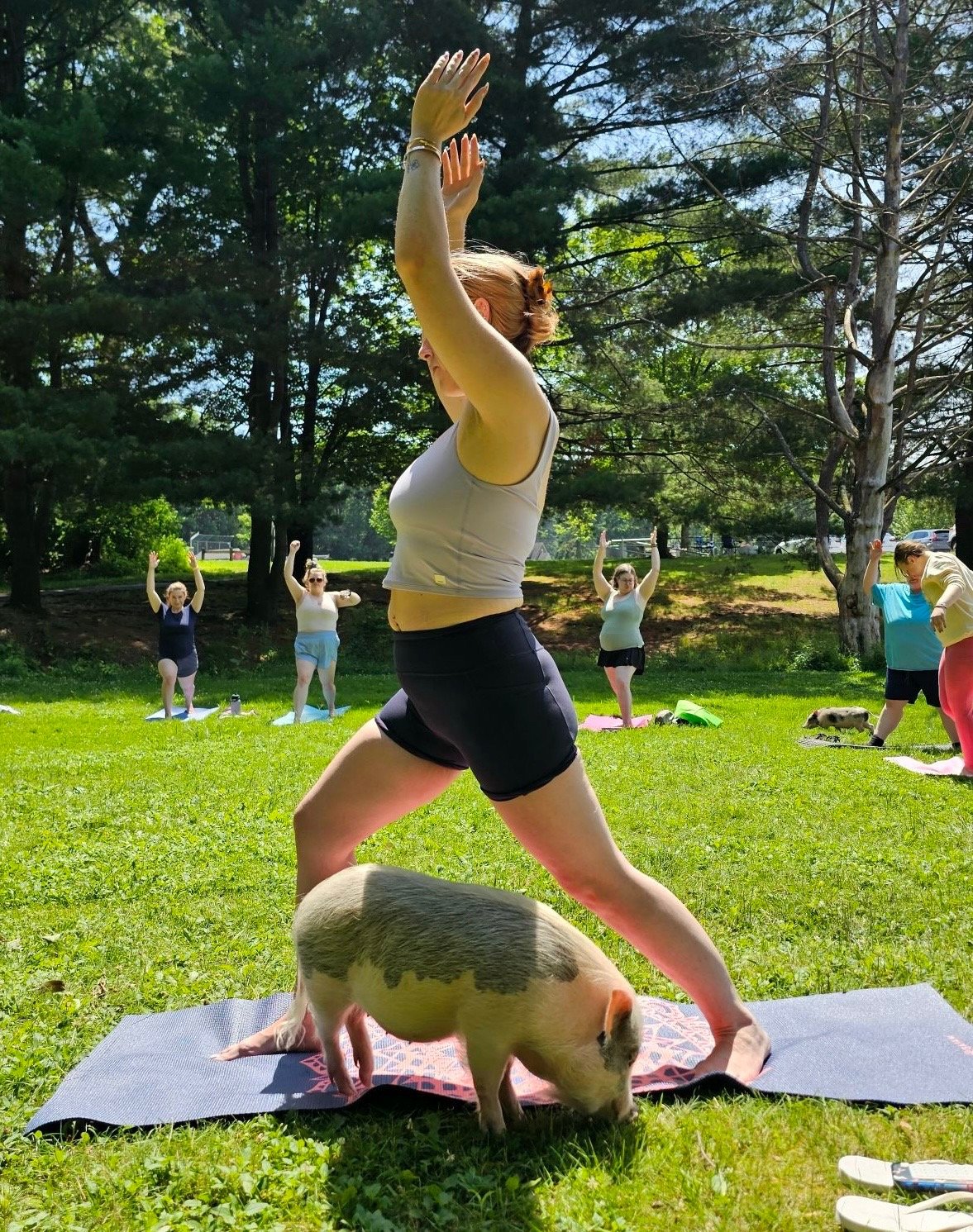 Yoga class in progress