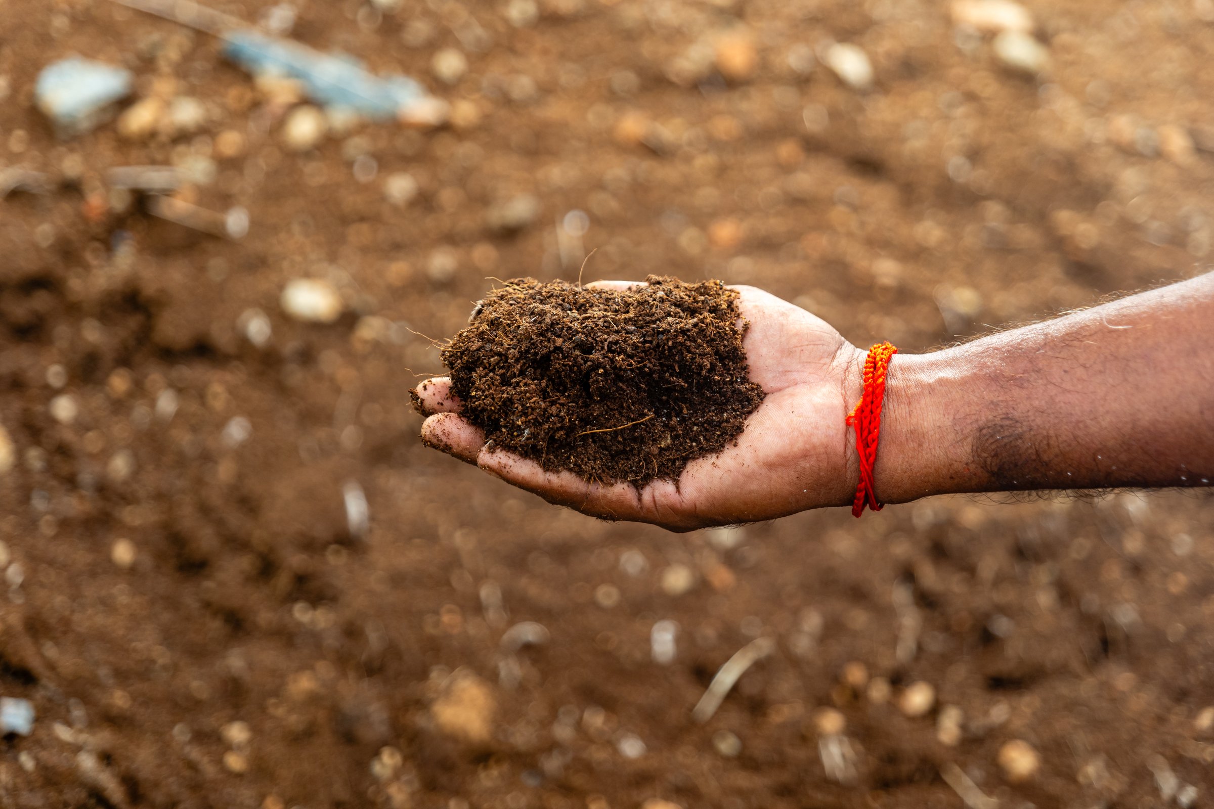 A man holding coconut coir in his hands while standing in a farmland