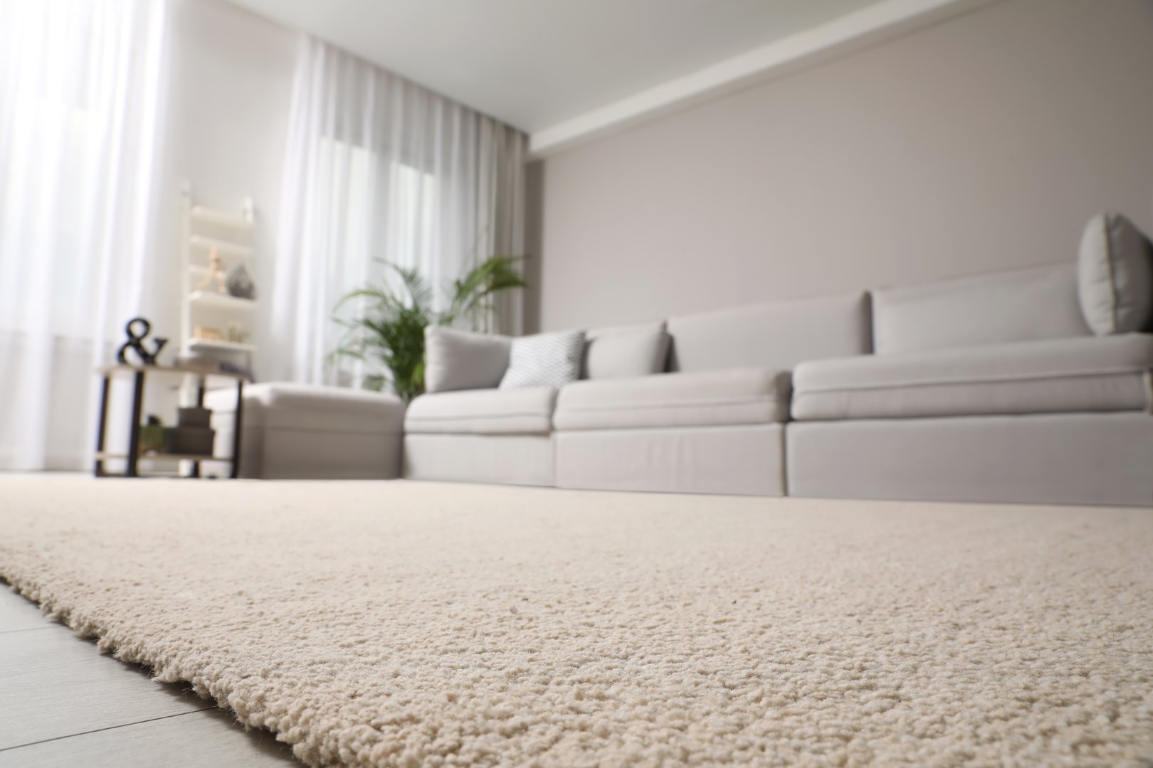 Newly Installed Plush Carpet